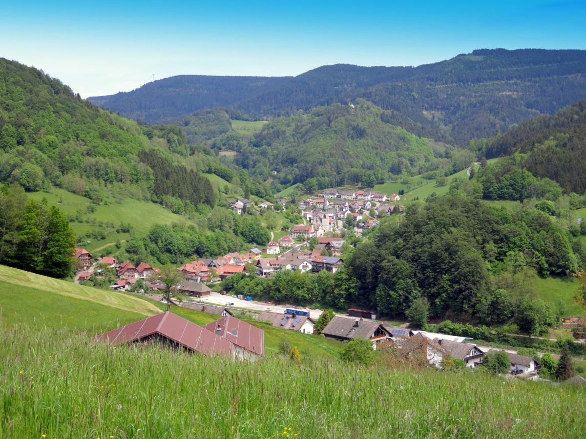 Am Doettelbach Apartment บาด ปีเตอร์สตัล กรีสบาค ภายนอก รูปภาพ
