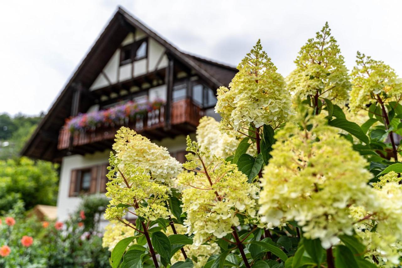 Am Doettelbach Apartment บาด ปีเตอร์สตัล กรีสบาค ภายนอก รูปภาพ